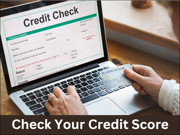 Check Your Credit Score 